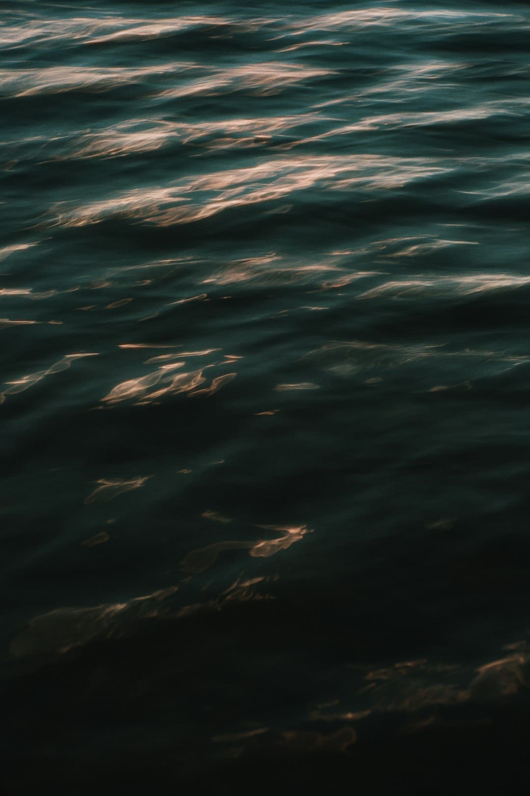 https://static.ws.126.net/163/frontend/images/2022/empty.png